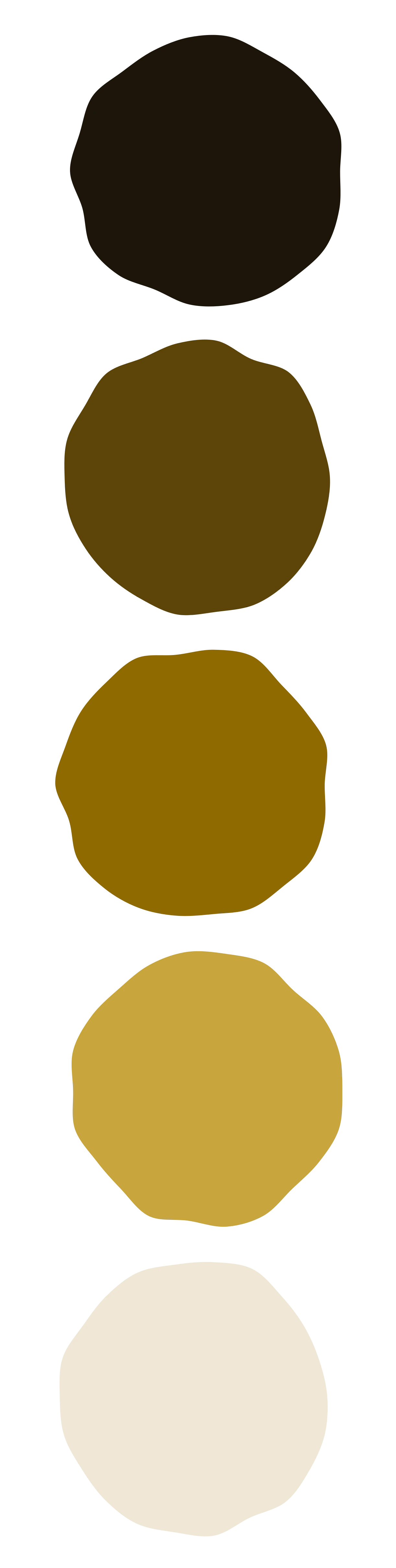 Portafolio Editorial — Piezas de Museo de Oro — Color Palette