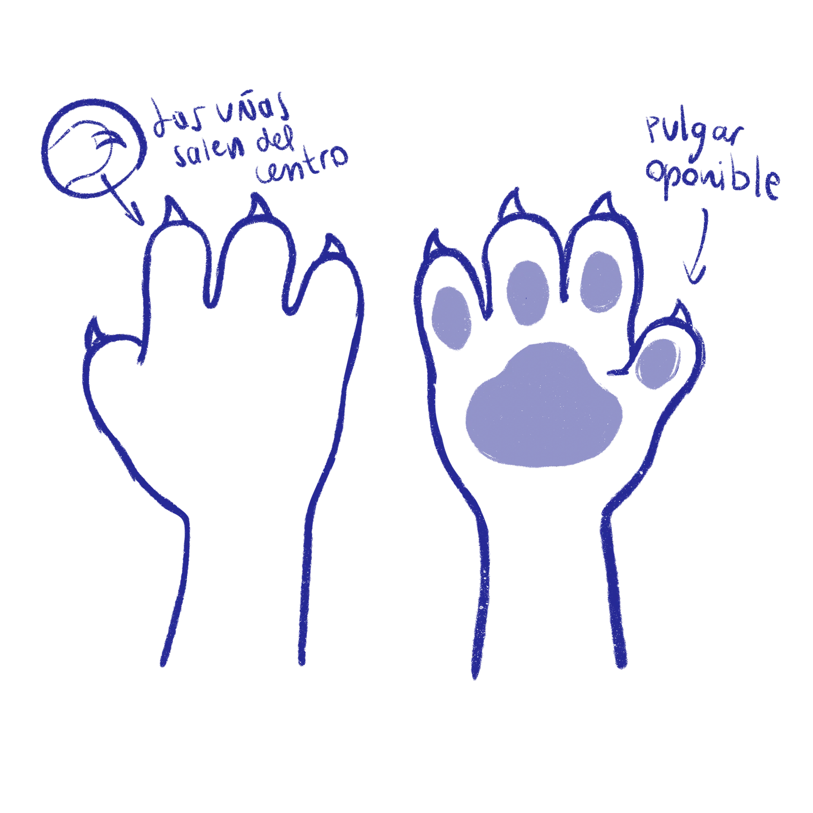 Micelio — Grow Together — process