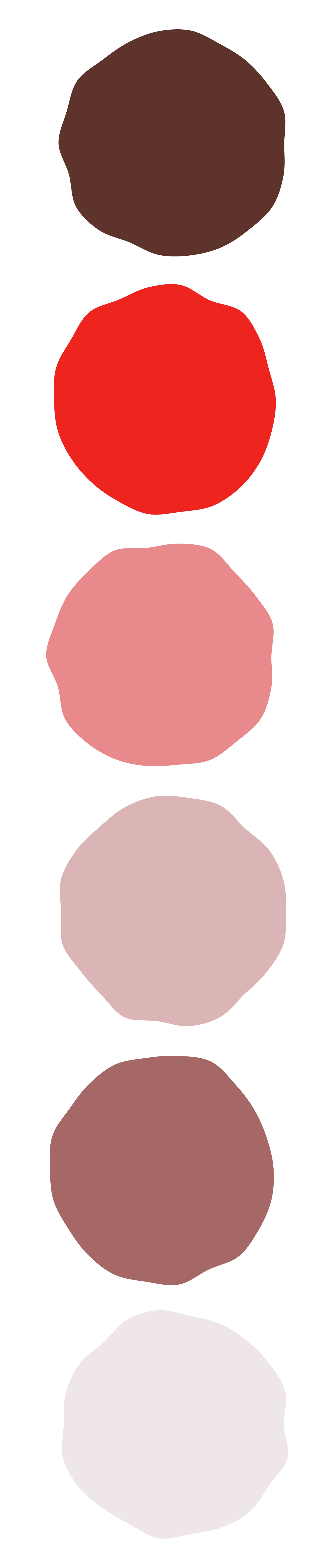 Tommy February 6 — Color Palette